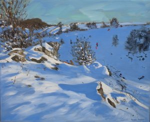 Sledgers, Derbyshire, 2011 autorstwa Andrew Macara