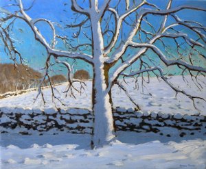 Drzewo pokryte śniegiem, 2011 (olej na płótnie) autorstwa Andrew Macara