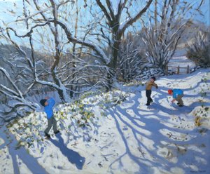 Walka na śnieżki, 2007 autorstwa Andrew Macara