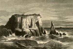 „Scena na wybrzeżu, hrabstwo Marin”, 1872. autorstwa Andrew Varick Stout Anthony