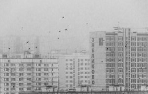 Monochromatyczne ptaki miejskie autorstwa Andrey Kotov