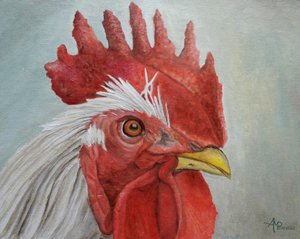Kolorowa głowa koguta autorstwa Angeles M. Pomata