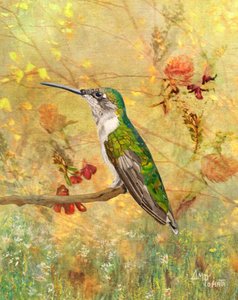 Złota ławeczka dla kolibrów autorstwa Angeles M. Pomata