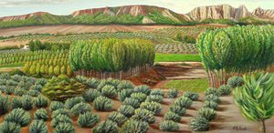 Tereny rolnicze Green Valley autorstwa Angeles M. Pomata