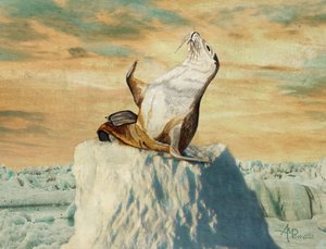 Pozdrowienia z Arktyki autorstwa Angeles M. Pomata