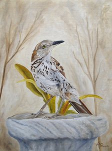 Spokojny drozd ogrodowy autorstwa Angeles M. Pomata