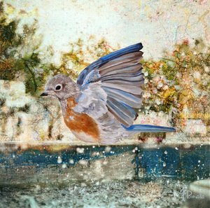 Orzeźwiająca kąpiel „Bluebird” autorstwa Angeles M. Pomata