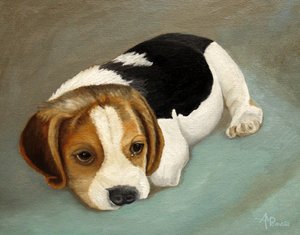 Smutny szczeniak rasy beagle autorstwa Angeles M. Pomata