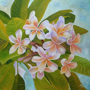Delikatne kwiaty plumeria autorstwa Angeles M. Pomata