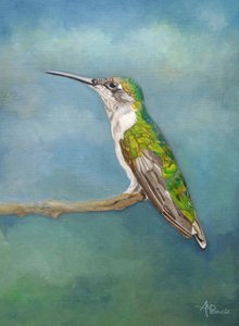Kolorowa półka dla kolibrów autorstwa Angeles M. Pomata