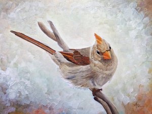 Czujna samica kardynała autorstwa Angeles M. Pomata