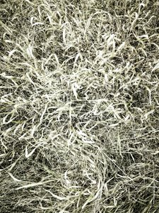  autorstwa Angelo Cerantola
