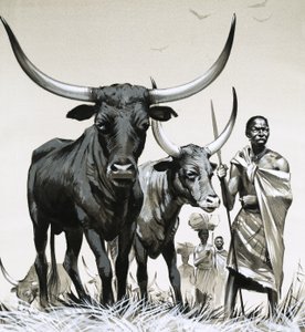 Bydło Ankole autorstwa Angus McBride
