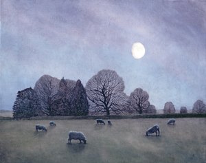 Księżycowa noc, 2004 autorstwa Anna Phillips