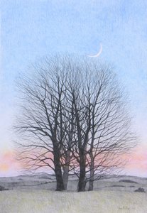 Księżyc w nowiu, 2011 (kolorowa kredka na papierze) autorstwa Anna Phillips