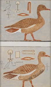 Kopia malowidła ściennego z prywatnego grobowca Kaemancha, III, 1, 132, Giza, gęsi, XX w.