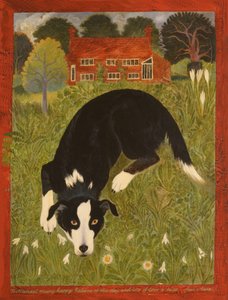 Pies Collie (akryl) autorstwa Anna Pugh