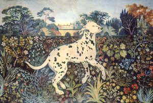 Sophie autorstwa Anna Pugh