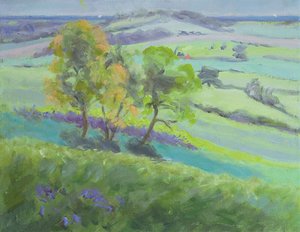 W kierunku Winchelsea w Sussex z Bluebells na wiosnę