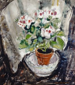 Pelargonia (akwarela na papierze)