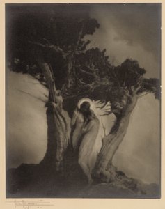 Serce burzy autorstwa Anne W. Brigman