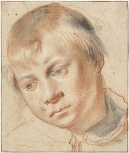 Studium głowy chłopca Studium głowy chłopca autorstwa Annibale Carracci (attributed to)
