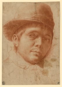 Portret młodego mężczyzny w czapce autorstwa Annibale Carracci