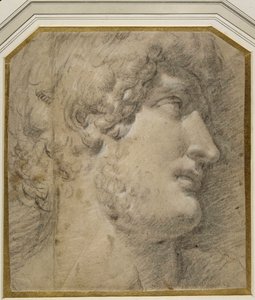 Głowa cesarza Gallienus (lub ?Hadrian), po antyku (czarna kreda na kremowym papierze) autorstwa Annibale Carracci