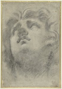 Patrząc na głowę trytona autorstwa Annibale Carracci