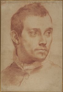 Portret młodego mężczyzny autorstwa Annibale Carracci