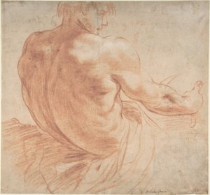 Siedzący młodzieniec zwrócony w prawo, widziany od tyłu autorstwa Annibale Carracci