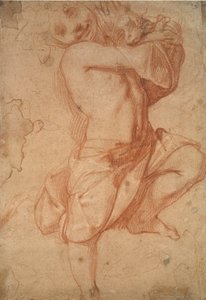 Półnagi chłopiec, koniec XVI wieku autorstwa Annibale Carracci