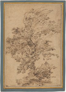 Studie eines Baumes autorstwa Annibale Carracci