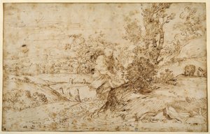 Powrót z lotu (długopis i brązowy tusz na papierze) autorstwa Annibale Carracci