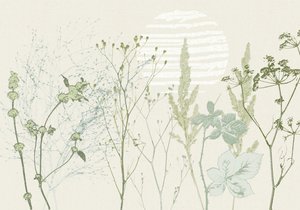 Stonowany botaniczny wschód słońca autorstwa Annick