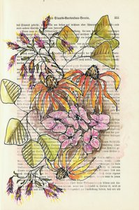 Retro studium botaniczne