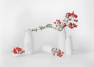 Minimalistyczna kompozycja z czerwonych jagód autorstwa Annie Poreider