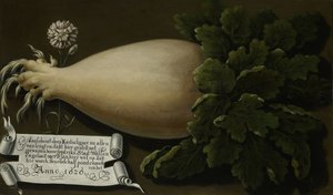 Olbrzymia Rzodkiewka autorstwa Anonymous