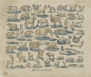 sługa Historia naturalna (tytuł na obiekcie) autorstwa Anonymous