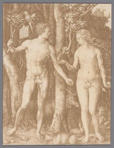 Reprodukcja fotograficzna ryciny Adam i Ewa autorstwa Albrechta Dürer autorstwa Anonymous