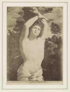 Reprodukcja fotograficzna obrazu Guido Reniego przedstawiającego męczeństwo św. Sebastiana ROMA - Martirio di San Sebastiano, Guido Reni. Campidoglio (tytuł na obiekcie) autorstwa Anonymous