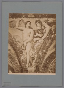Fotoreproductie van het fresco Amor en Psyche in de Loggia di Psiche, Villa Farnesina te Rome Rzym. Amor i Psyche. Farnesina (tytuł na obiekcie) autorstwa Anonymous
