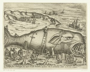 Stranded Walvis niedaleko Berckhey, 1598 Warhafttigh And Wonderful Monster lub Pottfisch w postaci wieloryba, z którego Möer zamulił się między Catwyck i Schevelingen jako Wyter w relacji ercleret 4 lutego Anno 1598 (tit. autorstwa Anonymous