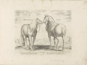Hengst en merrie uit Rome Rzymski koń matrona (tytuł na przedmiocie) Paardenrassen uit de Koninklijke stallen van Don Juan van Oostenrijk (tytuł serii) Koń, w którym wyróżnia się wszelkiego rodzaju szlachta: zachowanie koni wybranych z różnych części świat autorstwa Anonymous