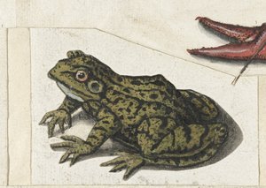 Spojrzenia Album Lombard (tytuł serii) autorstwa Anonymous