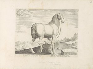 Koń z Korsyki Serce (tytuł na obiekcie) Paardenrassen uit de Koninklijke stallen van Don Juan van Oostenrijk (tytuł serii) Koń, w którym wszystkie rodzaje szlachty: wybrane zachowania koni wyróżniających się z różnych stron świata (...) (tytuł serii na obj autorstwa Anonymous