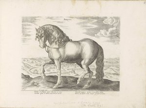 Paard uit Friesland Phryso (tytuł na obiekcie) Paardenrassen uit de Koninklijke stallen van Don Juan van Oostenrijk (tytuł serii) Koń, w którym wszystkie rodzaje szlachty: wybrane zachowania koni wyróżnionych z różnych stron świata (...) (tytuł serii o ob autorstwa Anonymous