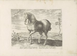 Paard uit Gelre Sicamber (tytuł na obiekcie) Paardenrassen uit de Koninklijke stallen van Don Juan van Oostenrijk (tytuł serii) Koń, w którym wszystkie rodzaje szlachty: wybrane zachowania koni wyróżniających się z różnych stron świata (...) (tytuł serii n autorstwa Anonymous