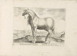 Paard z Grecji Achivus (tytuł na obiekcie) Paardenrassen uit de Koninklijke stallen van Don Juan van Oostenrijk (tytuł serii) Koń, w którym szlachta wszelkiego rodzaju: zachowanie koni wyróżniających się z różnych stron świata (...) (tytuł serii na temat autorstwa Anonymous