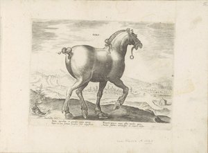 Paard uit Saksen Saxo (tytuł na obiekcie) Paardenrassen uit de Koninklijke stallen van Don Juan van Oostenrijk (tytuł serii) Koń, w którym wszystkie rodzaje szlachty: wybrane zachowania koni wyróżnionych z różnych stron świata (...) (tytuł serii na obiekci autorstwa Anonymous